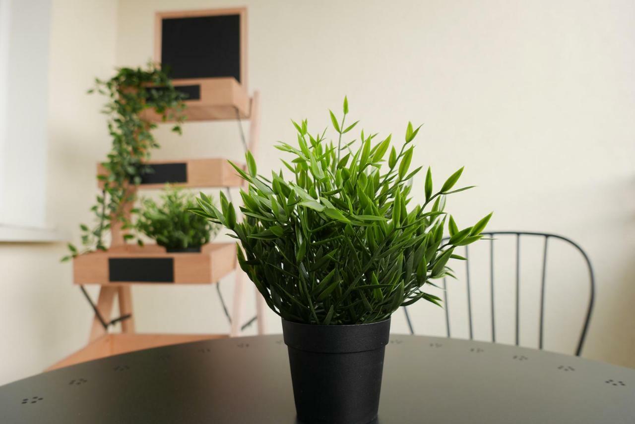 Apartament Jantarowa Lublin Dış mekan fotoğraf